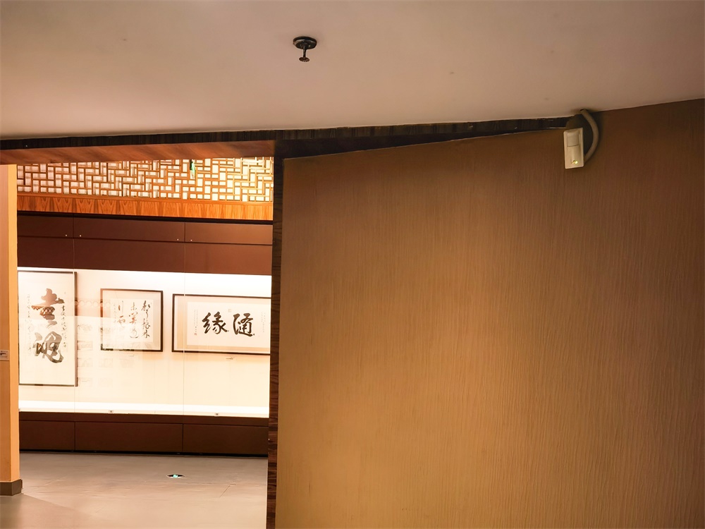 艾礼安报警系统：守护博物馆的文化瑰宝