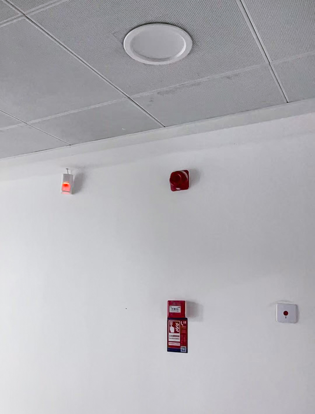 十五运会进行时，艾礼安守护赛场每一刻