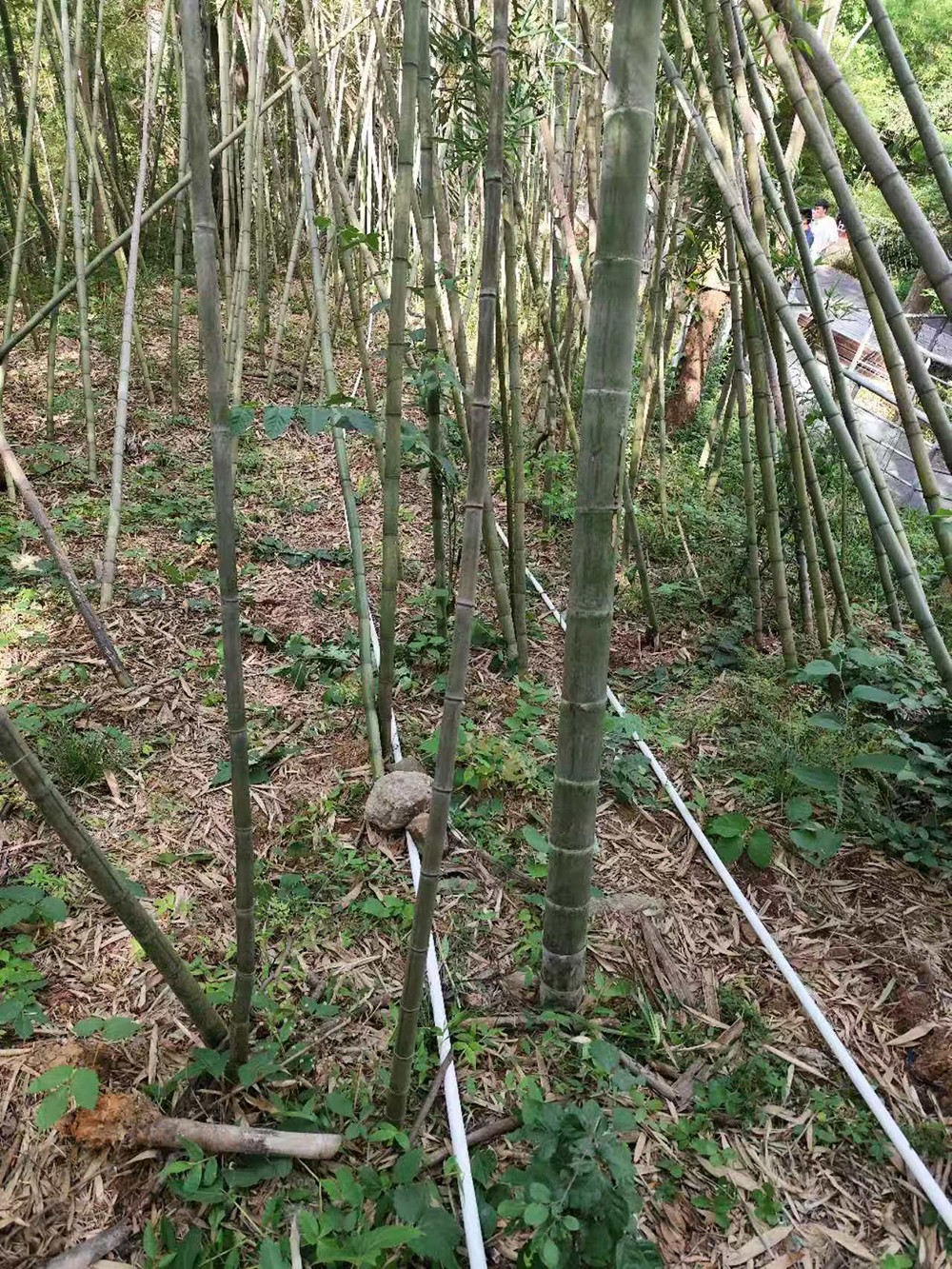 南京猿人洞 | 泄漏电缆