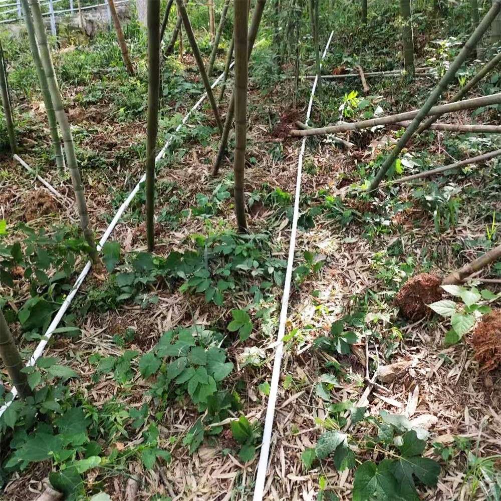 艾礼安高颜值周界报警落地实景